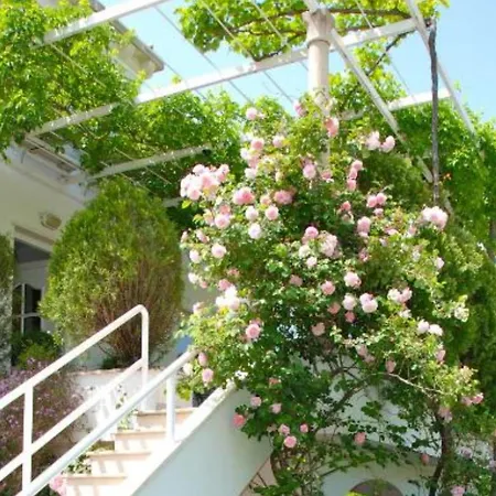 Apartament Mediterranea *