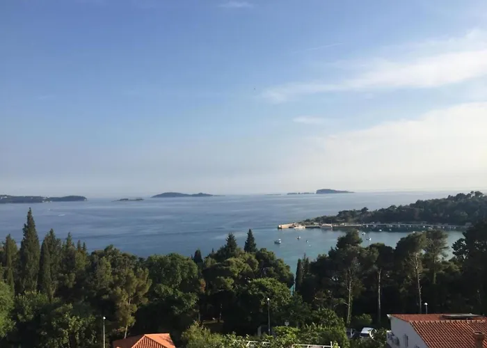 Mediterranea ムリニ